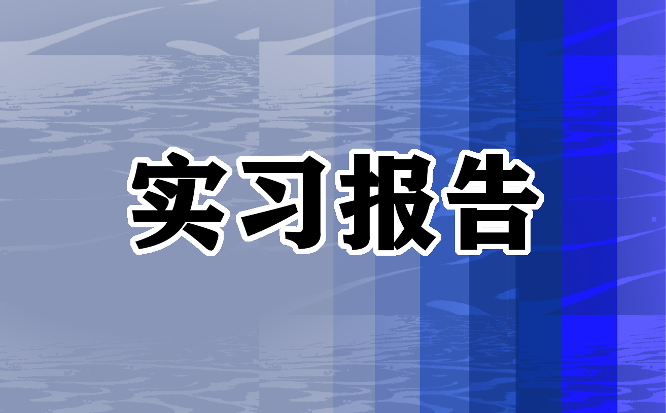 财务会计毕业生实习报告范文6篇精选