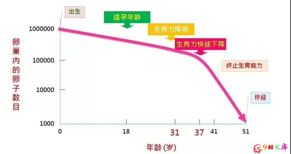 女性“最佳生育年龄”并非20岁，这个数，生出的娃智商更高更健康