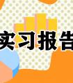 会计电算化实习报告