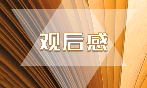 2021抗美援朝战争剧跨过鸭绿江观后感